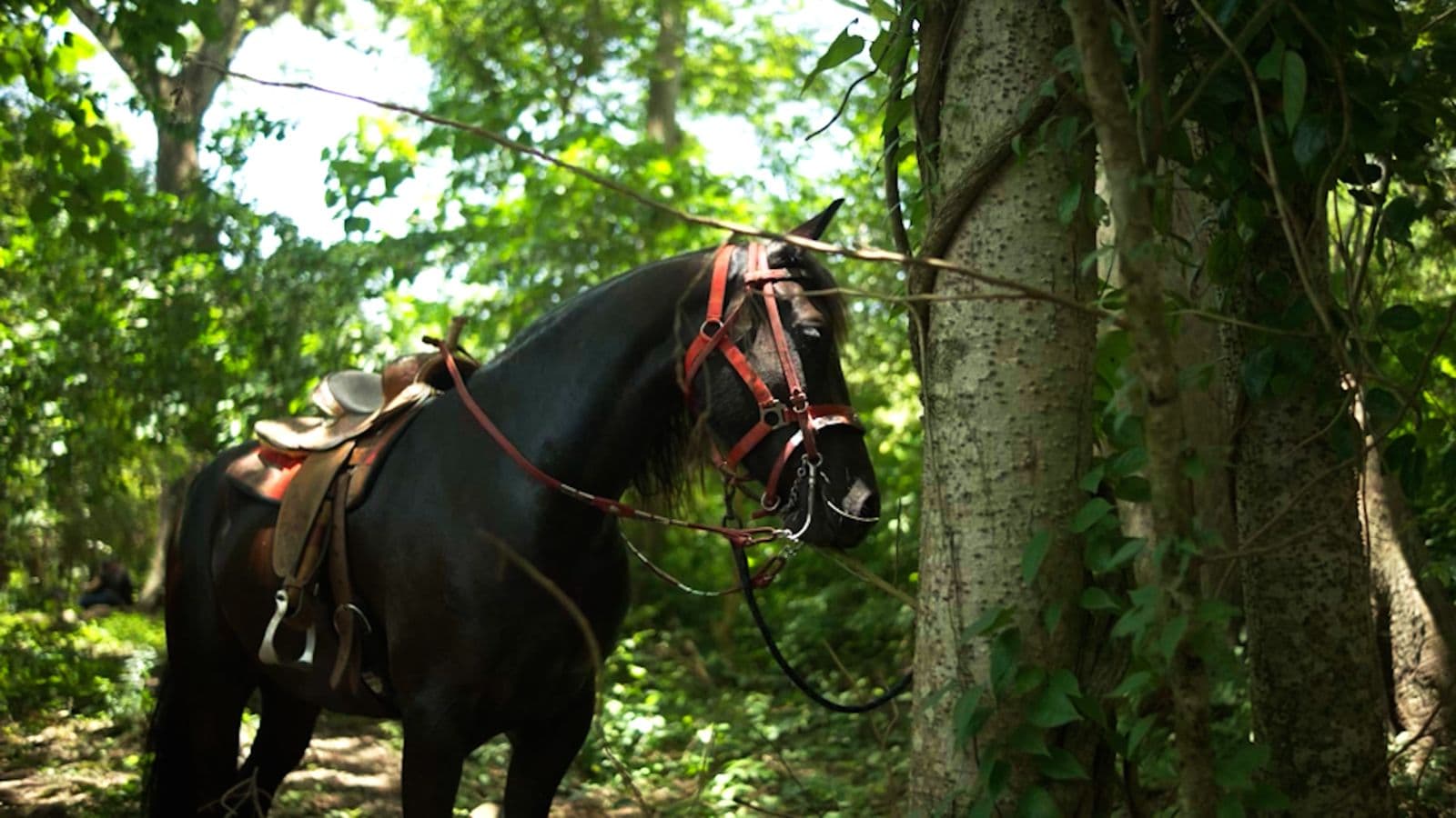 Horseback Riding to the River from Cuadra Trujillo