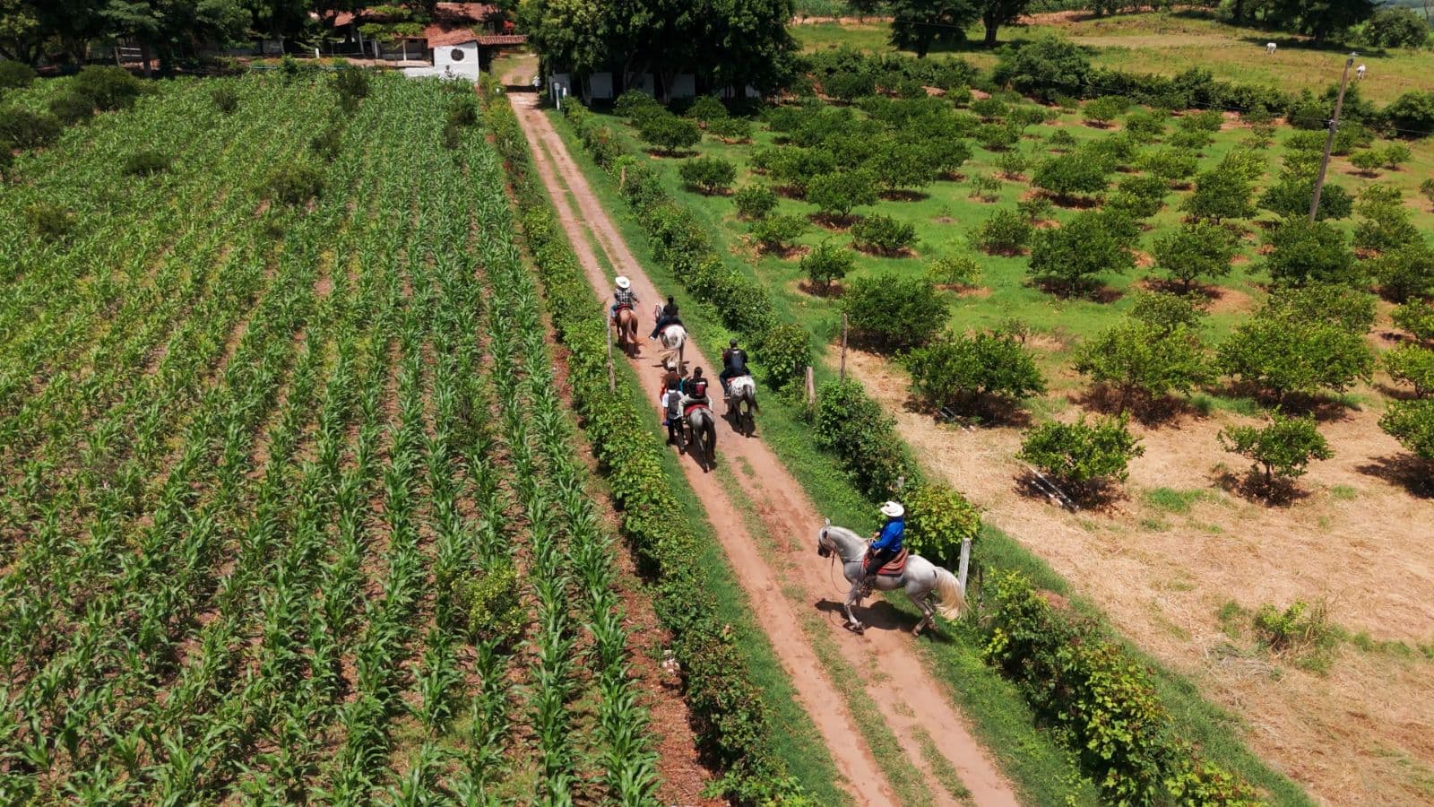 Horseback Riding through Natural Trails of Cuadra