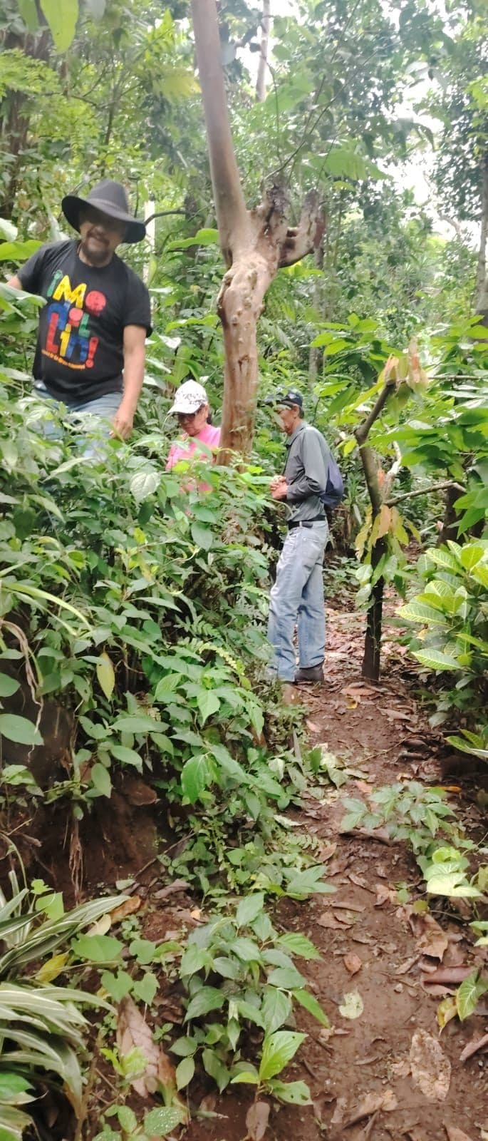 Trails and Sensations Tour: From Plant to Cup