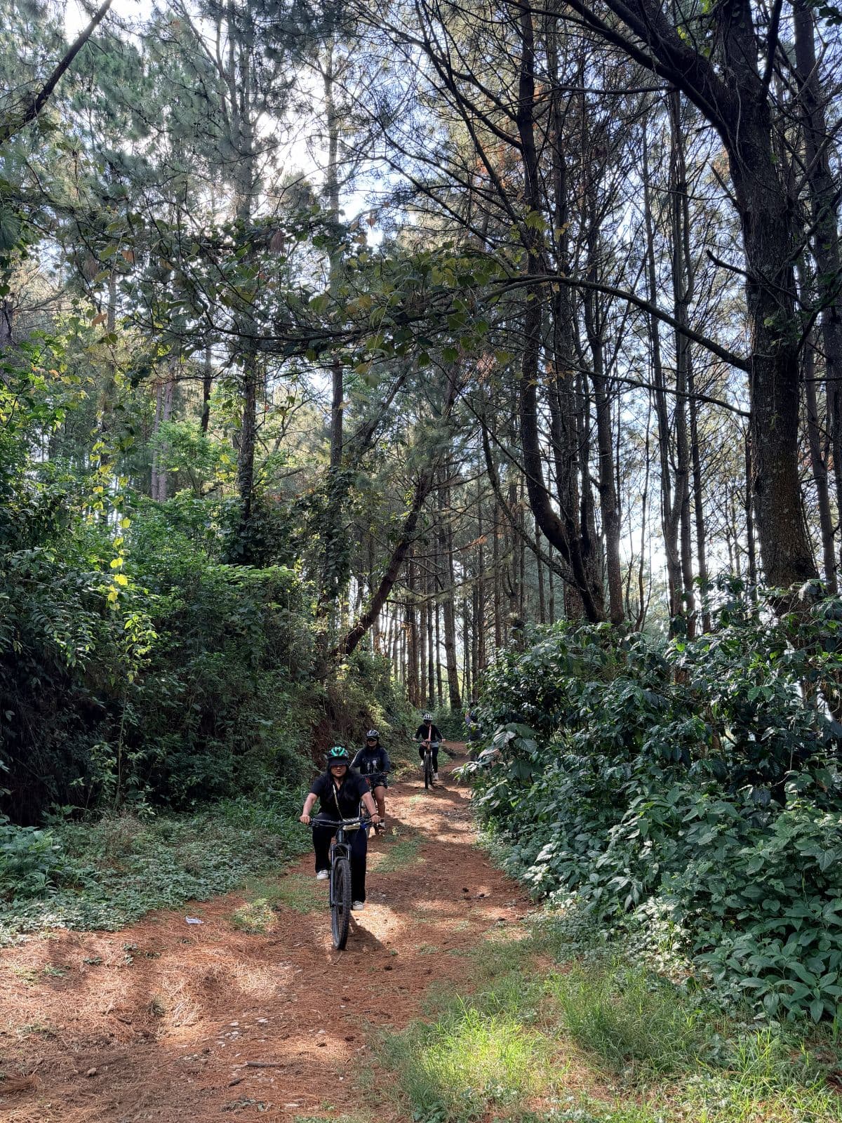 E-bike Route at San Salvador Volcano
