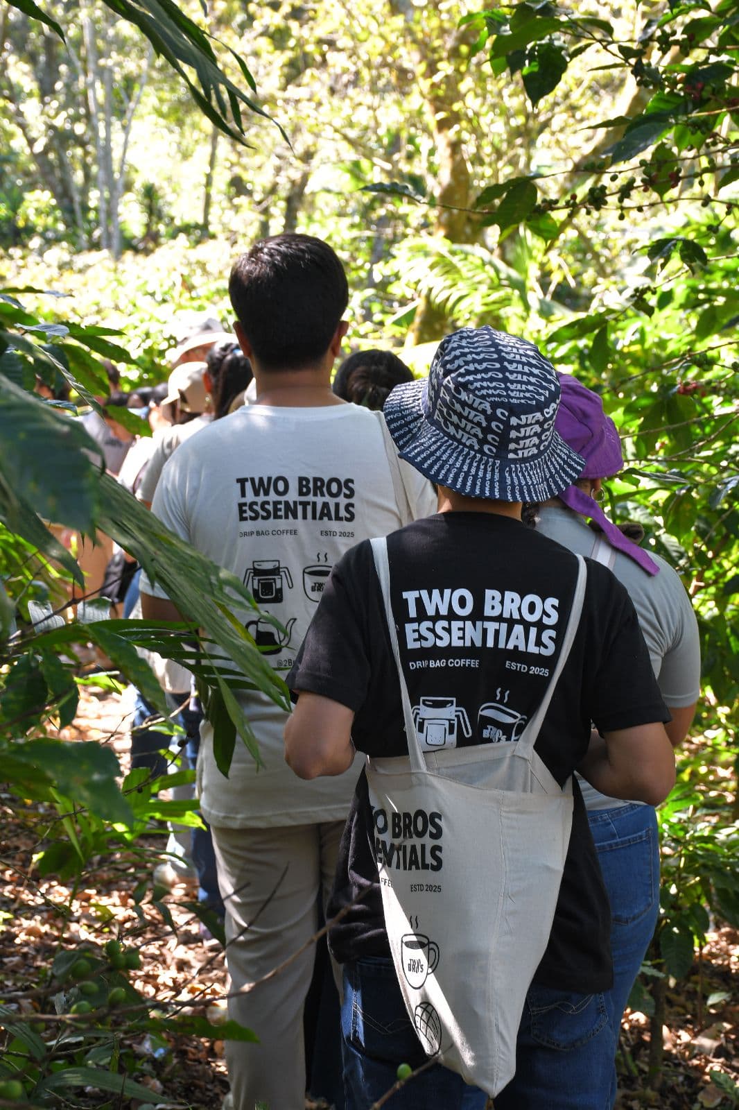 Experience Coffee from Its Origin on a Tour of the Coffee Farm and Guided Tasting in Jayaque
