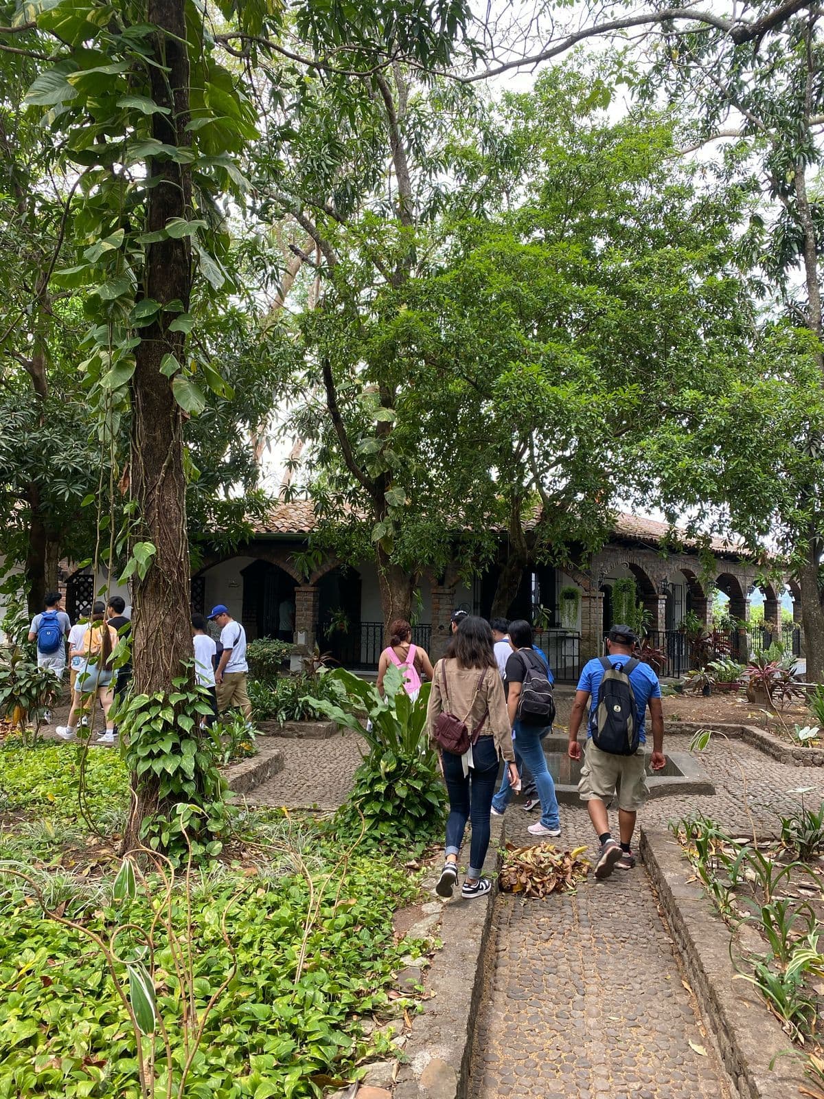 Gallery 3