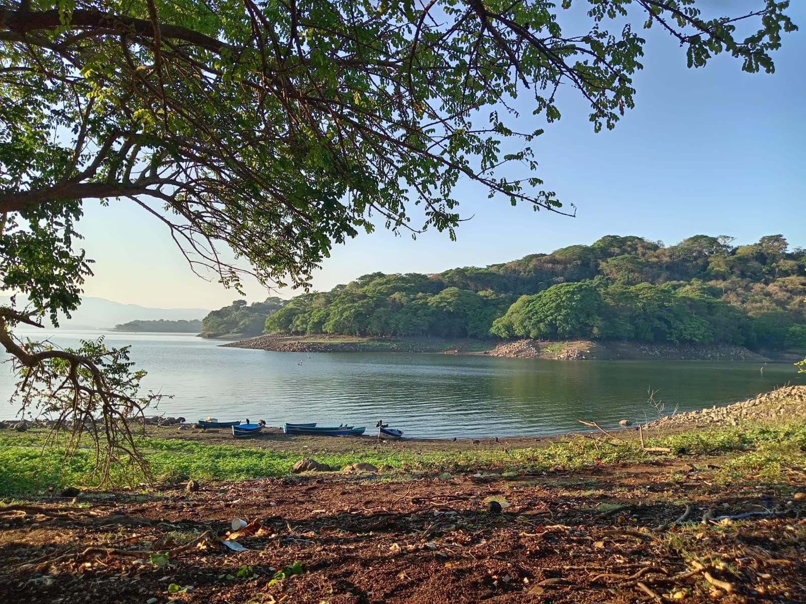 Tour to Lake Suchitlán and Alejandro Cotto Museum