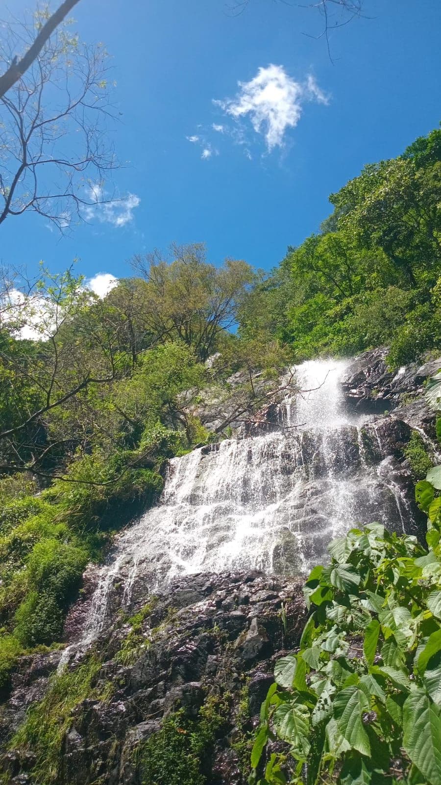 Hike through the Cloud Forest and Expedition to the Giant Waterfall of Metapán